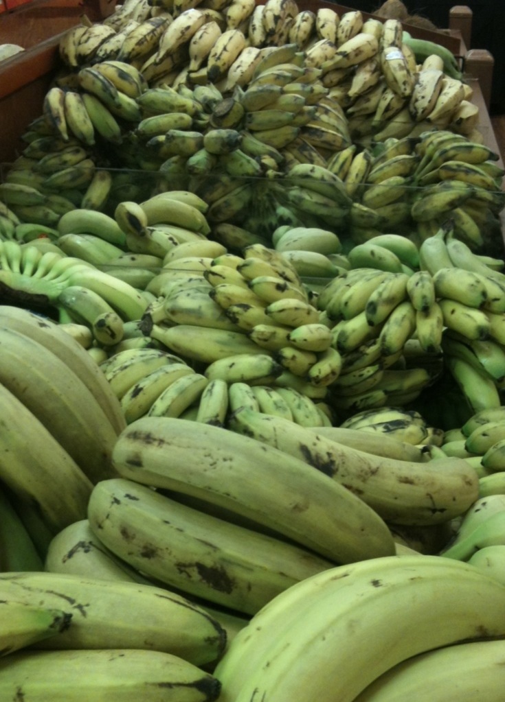 Fresh Fruit And Bitter Melons