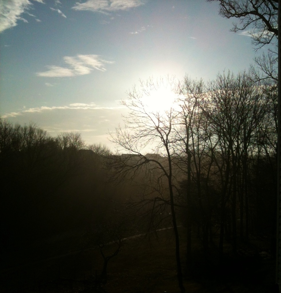 Icing It Up And Rolling It Out