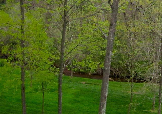 Sights Along My Trail