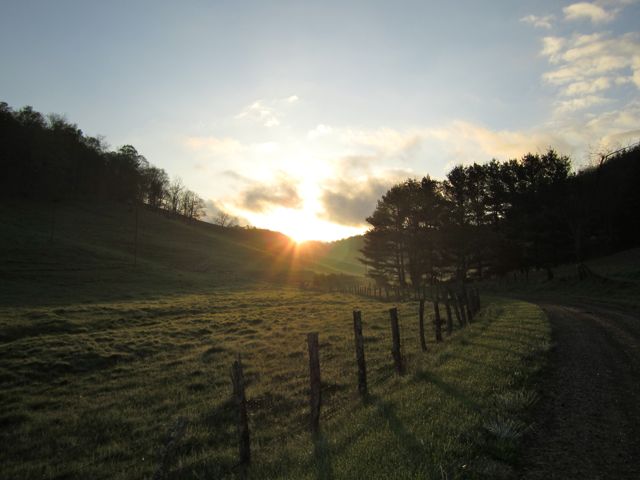 Wake Up Sunshine, I’m Going for a Run