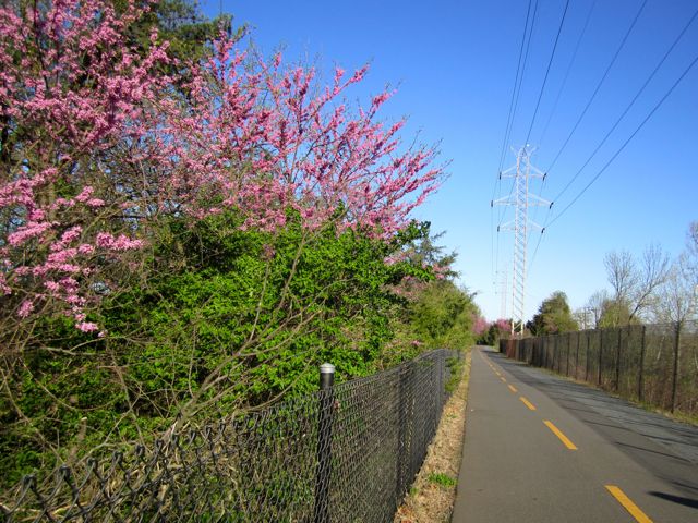 Run for Boston and Chicken Parmesan