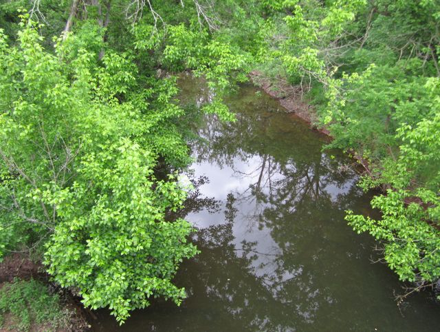Floral Scented Sunday Run