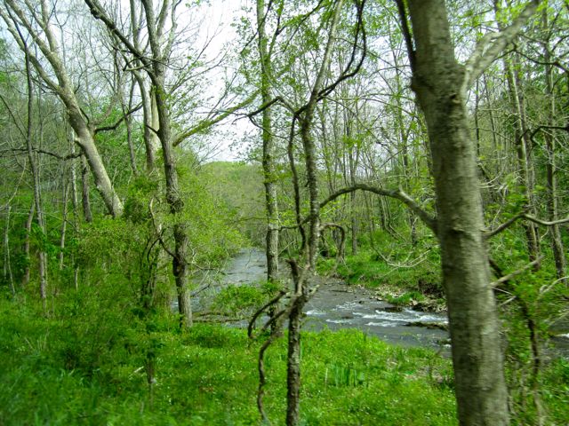 Running Along the River