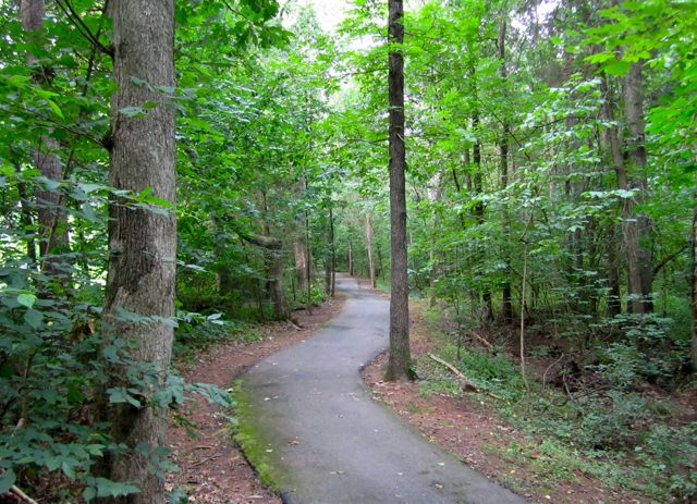 Slow, Lazy Run = Lots of Pictures