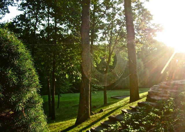 Life Suddenly Got Busier