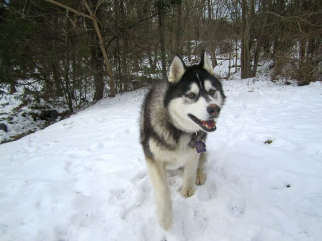 Week In Review – Picture Version