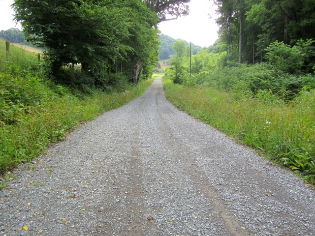 A Trip To The Country