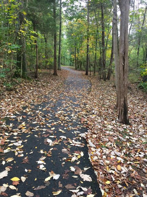 Life Between Training Cycles (October 13 to 19)