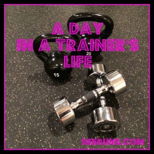 A Day In A Trainer’s Life