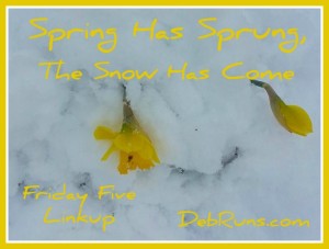 Spring Has Sprung, The Snow Has Come