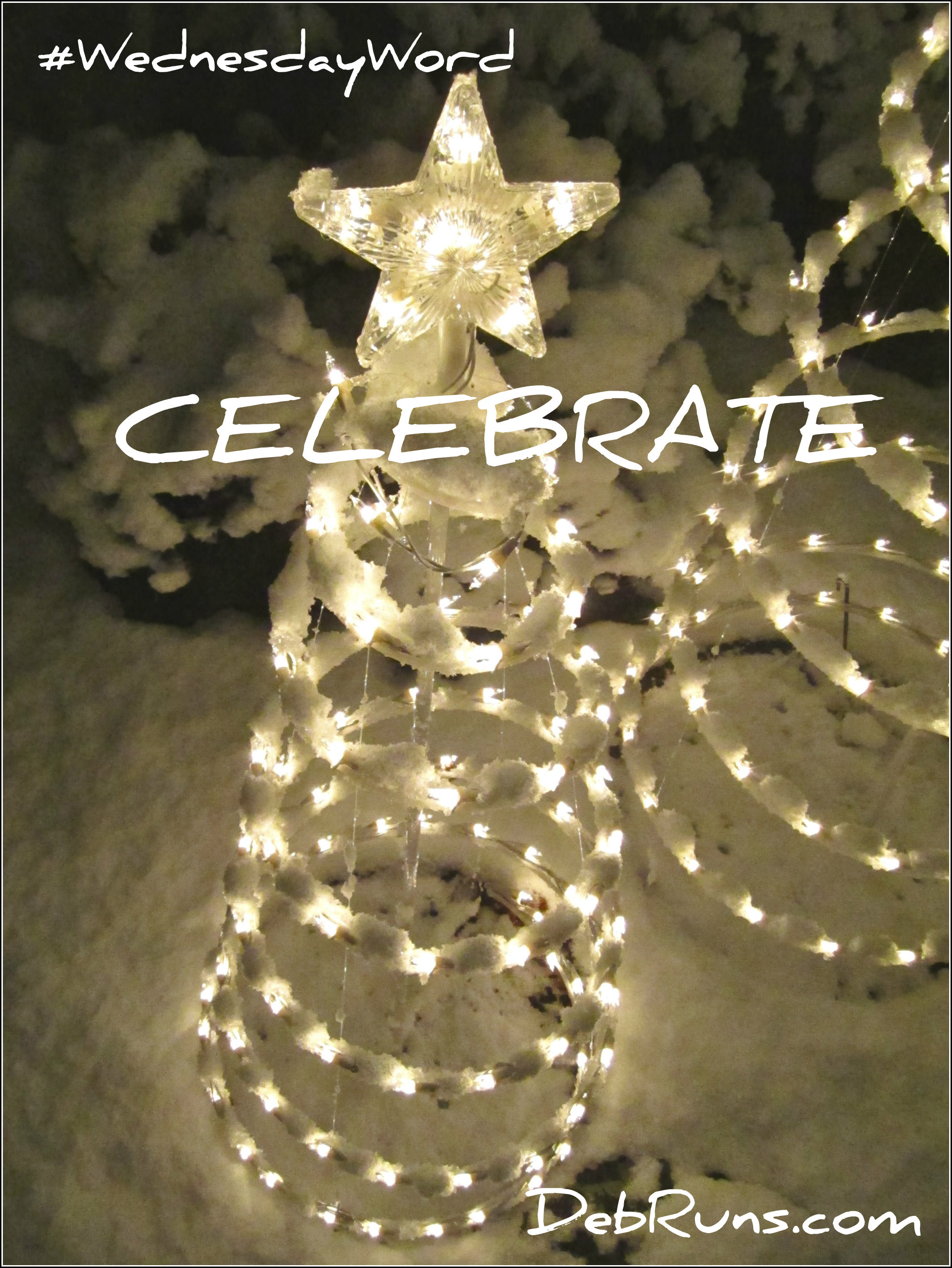 So Much To Celebrate