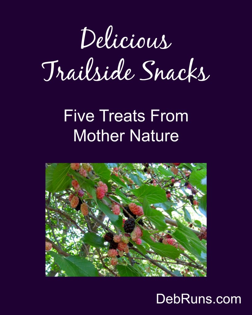 Topping Off Fueling With Trailside Snacks