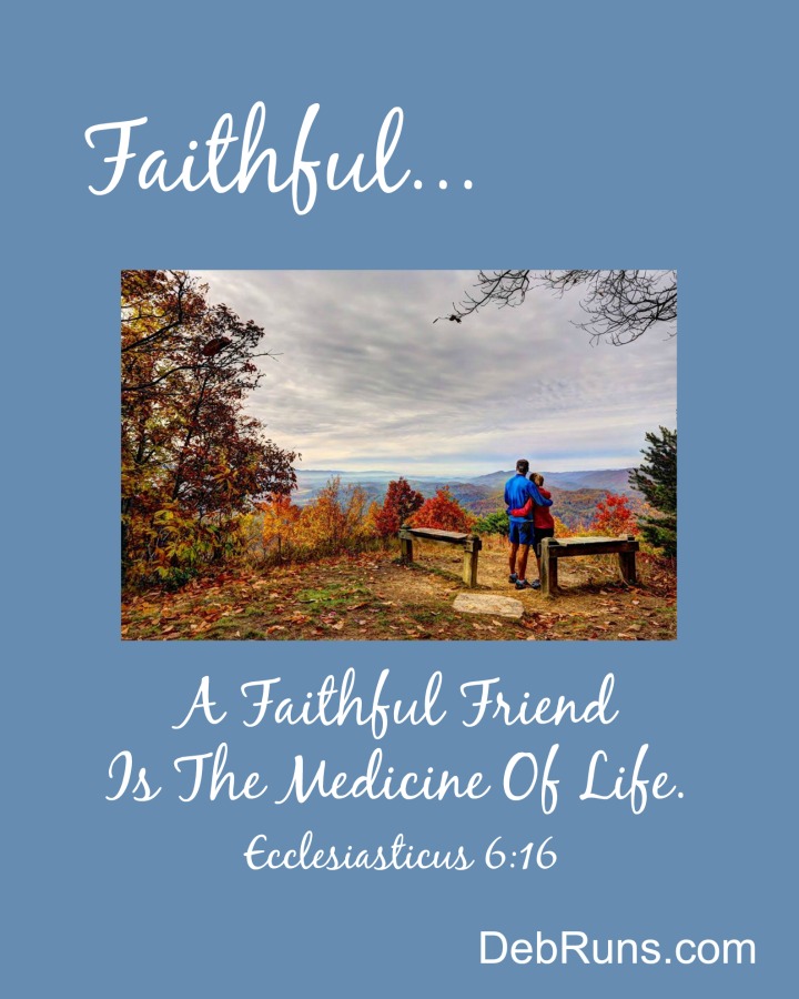 My Faithful Friend