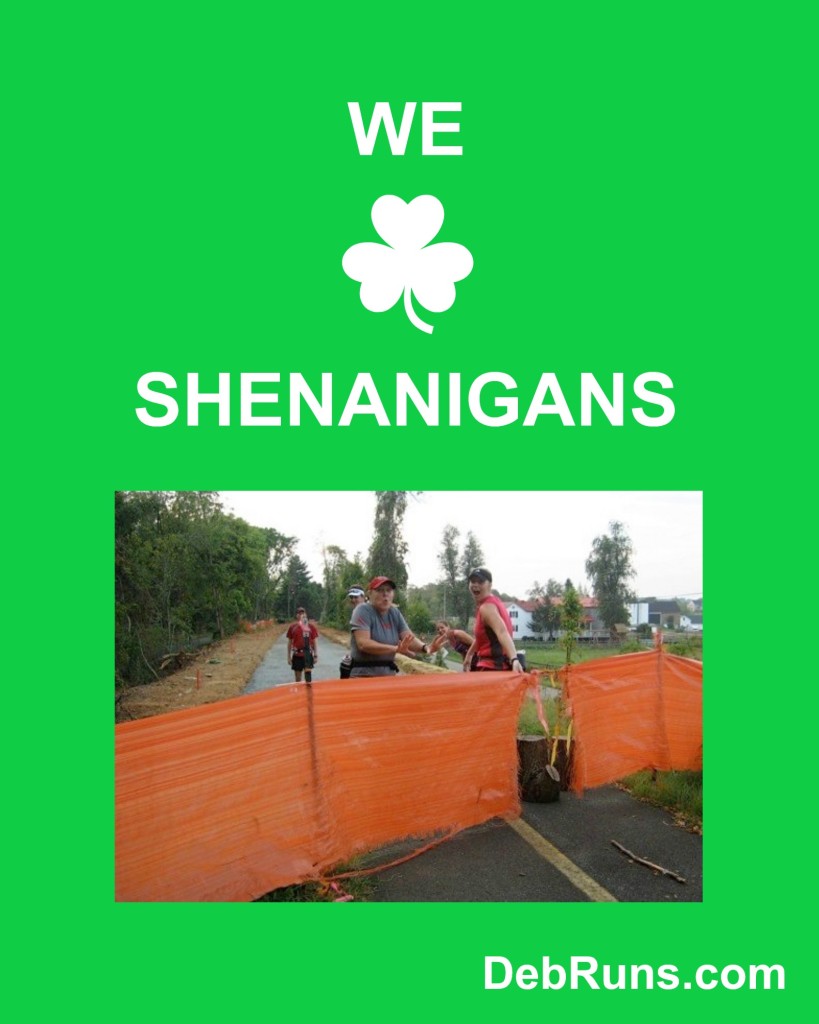 Let The Shenanigans Begin!