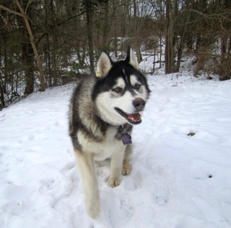 The Power Of The Hashtag