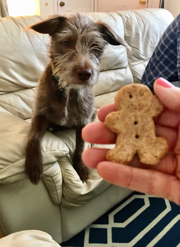 A Week That Started With Pablo And Ended With The Fiesta 5K