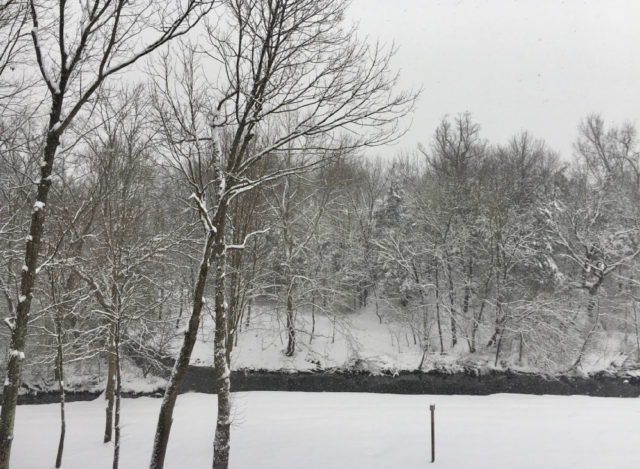Snow, Rain, and Wind Surrounding a Quick Trip to the Farm