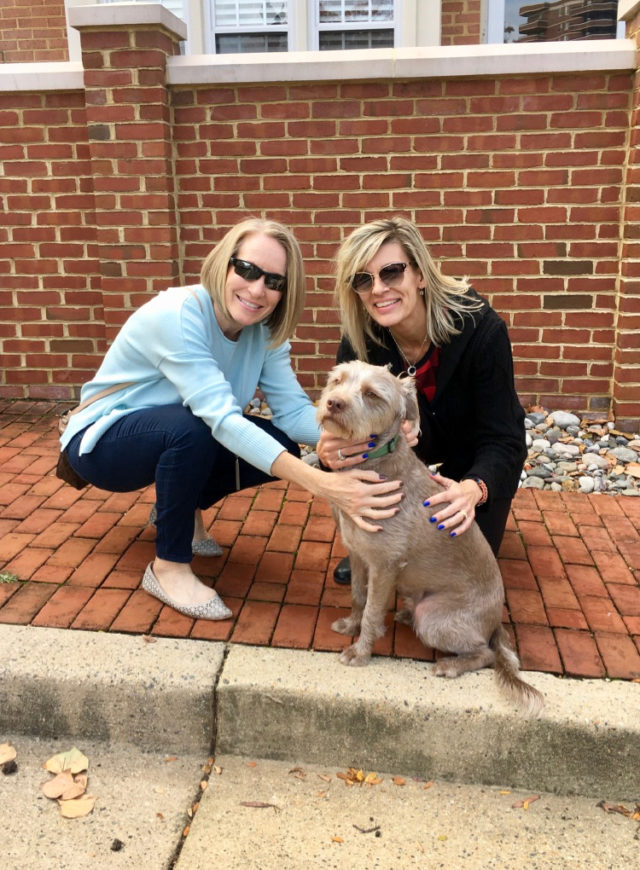 Good Luck Marine Corps Marathoners and Washington Nationals!