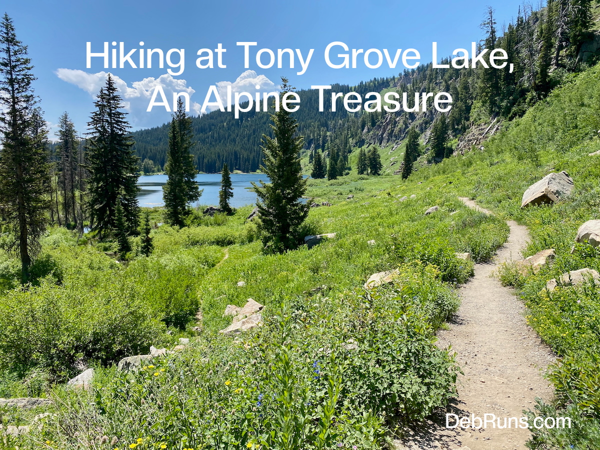 Hiking at Tony Grove Lake, an Alpine Treasure - Adventure Powered by Deb