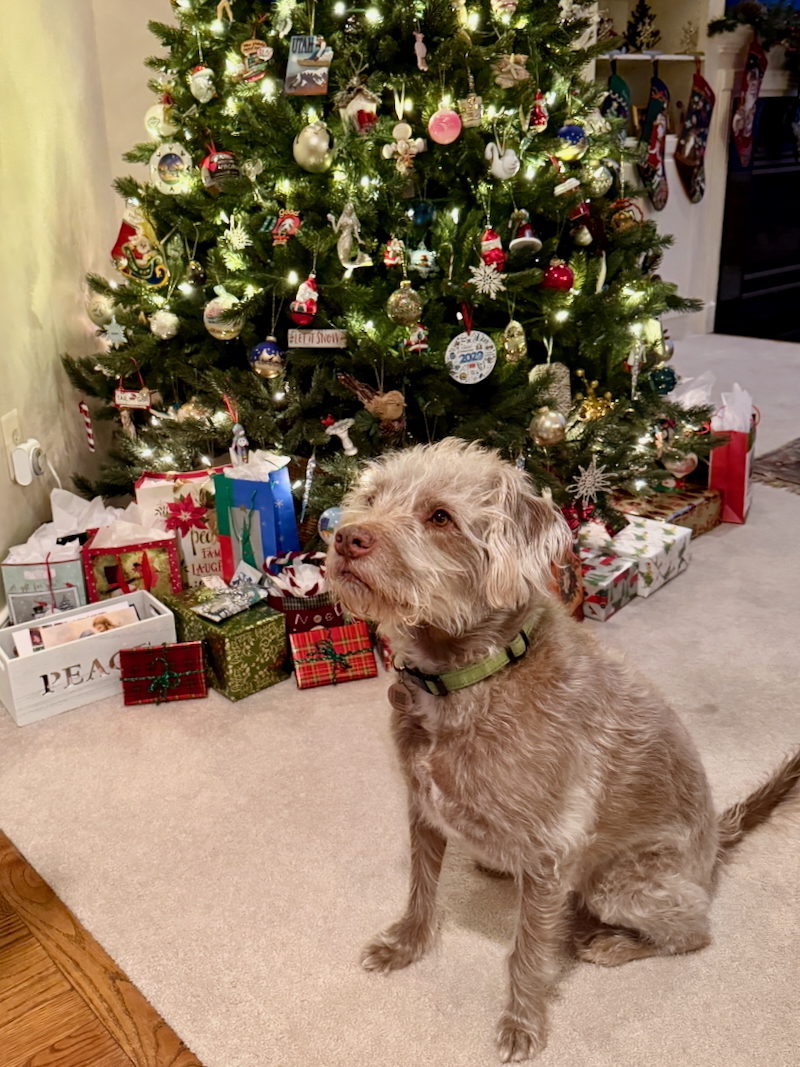 Weekly RunDown: December 21 - 27 / Stretching Out Our Christmas ...